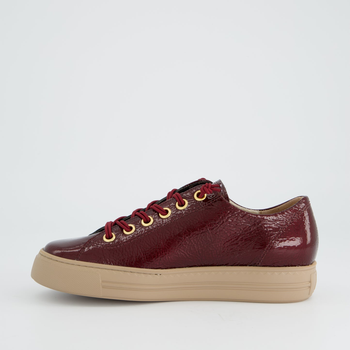 Paul Green 4081