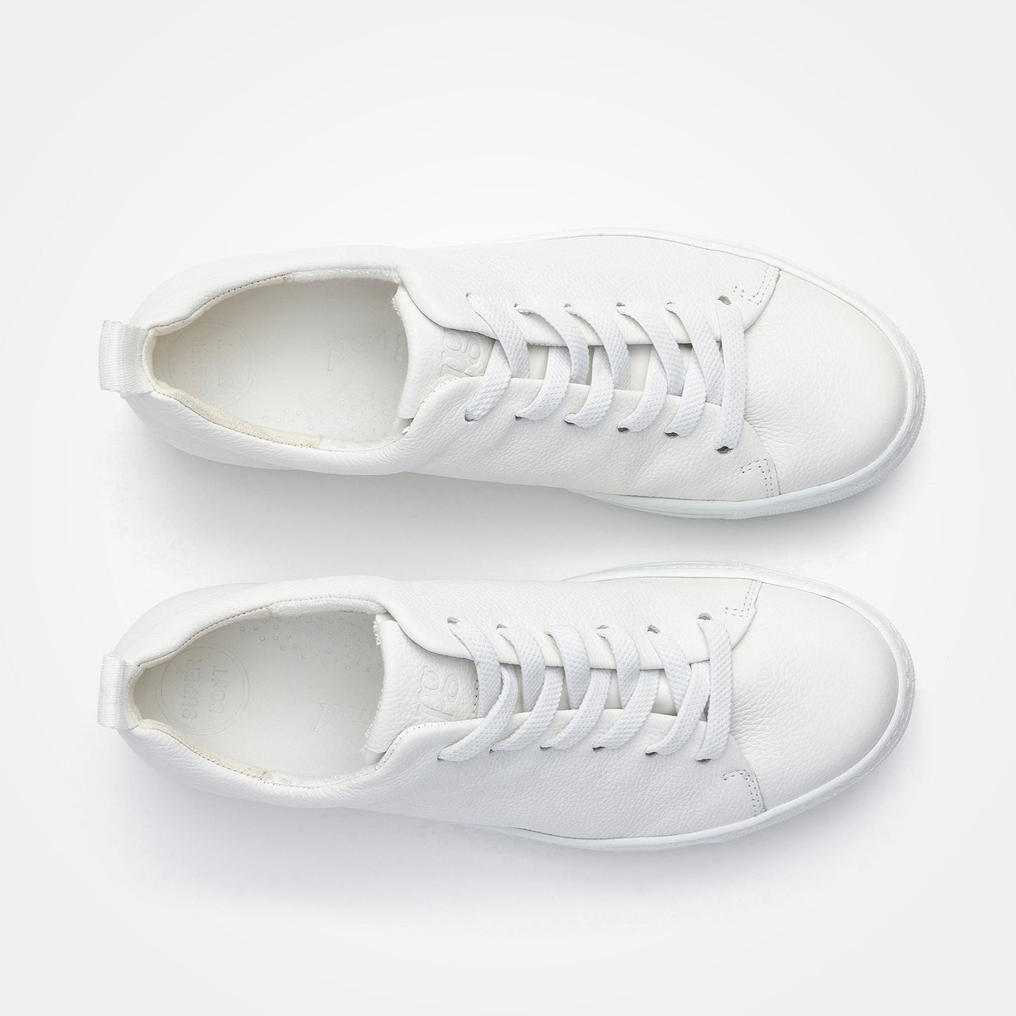 Paul Green 5267 Quinn