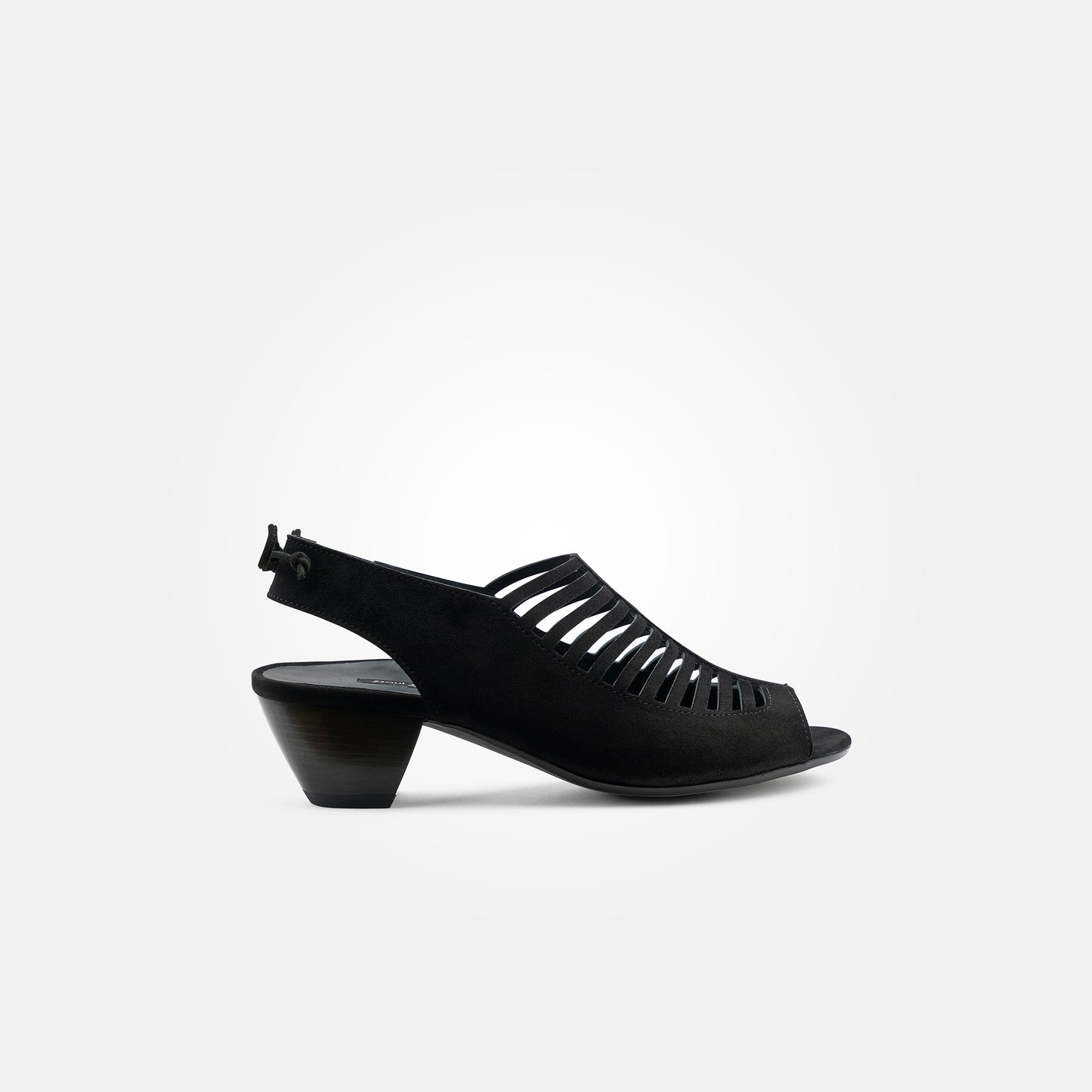 Paul Green 6589 Hazel