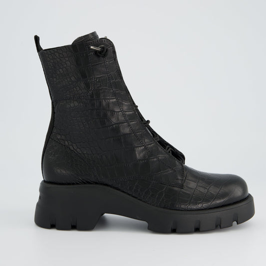 Paul Green 8216 Cara