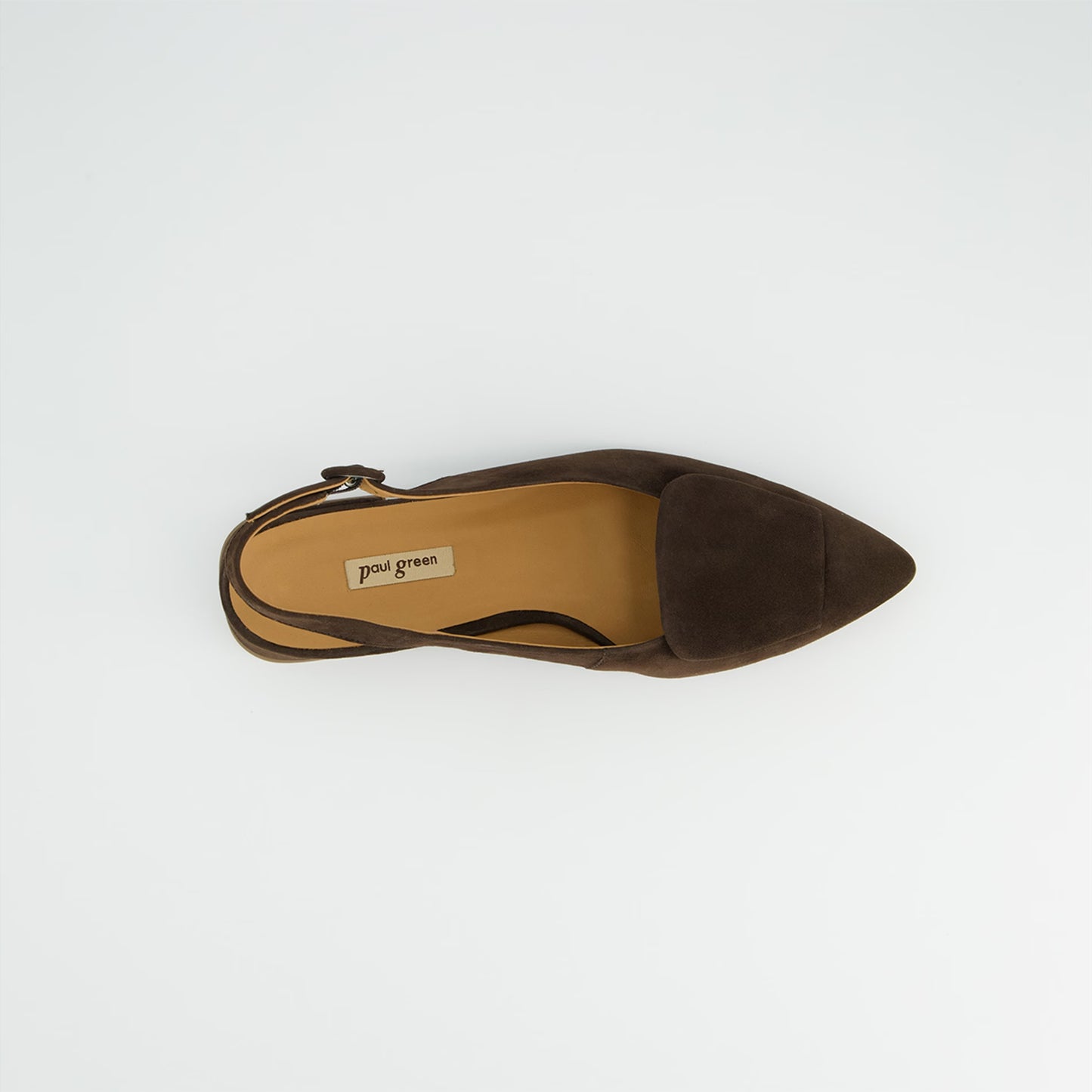 Paul Green 6090