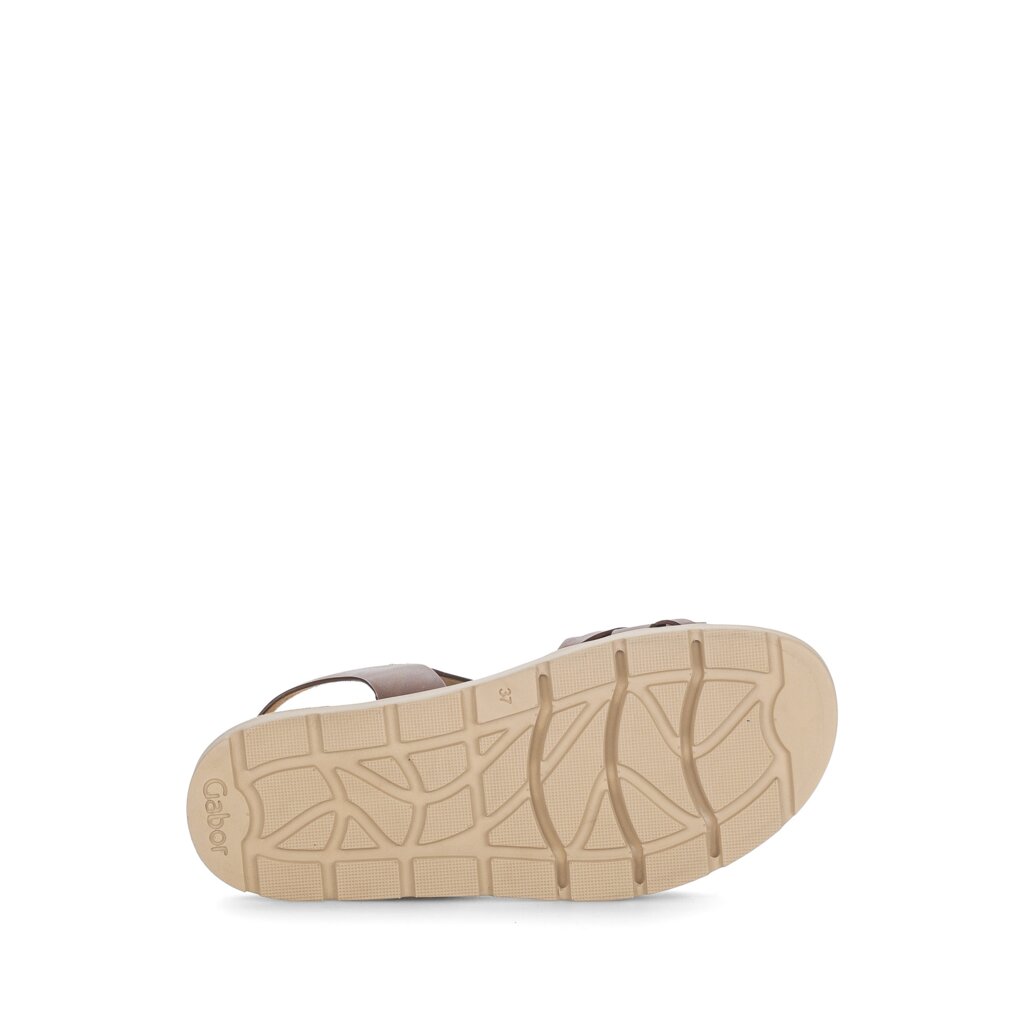 Gabor 84.600 Hopeful