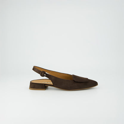 Paul Green 6090