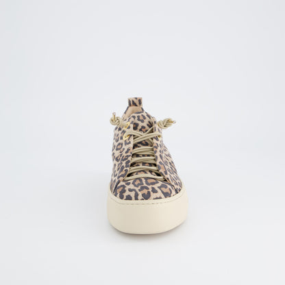 Paul Green Emely 5317