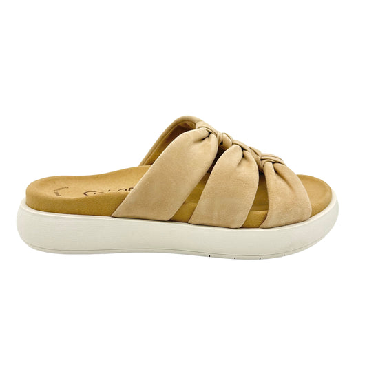 Gabor 23.752 Aintree