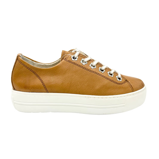 Paul Green 5113
